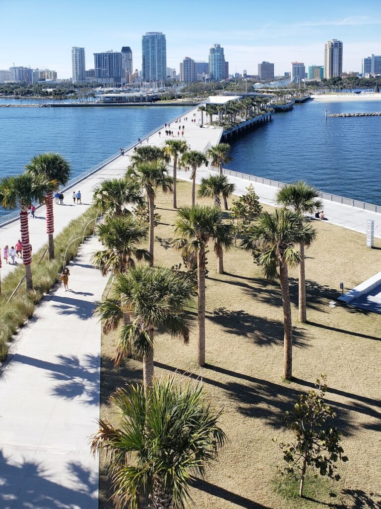 green palm trees near body of water during daytime