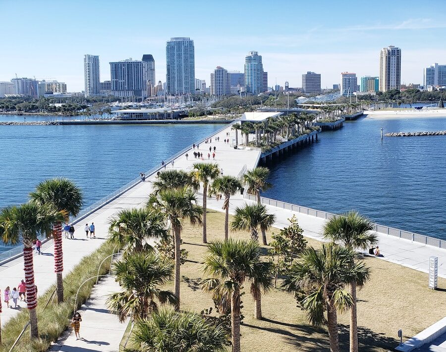 green palm trees near body of water during daytime